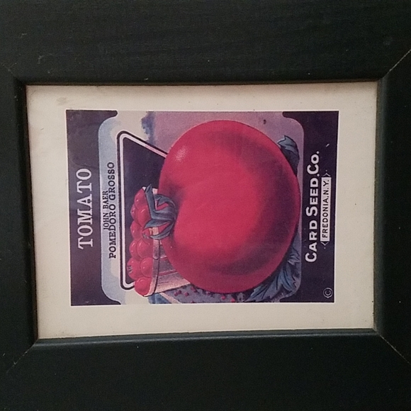 Vintage framed seed pack label art 2 pc New York - Picture 2 of 4